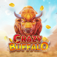 "CRAZY BUFFALO gameplay - Majestic buffalo herds with golden symbol transformations at massive wins"